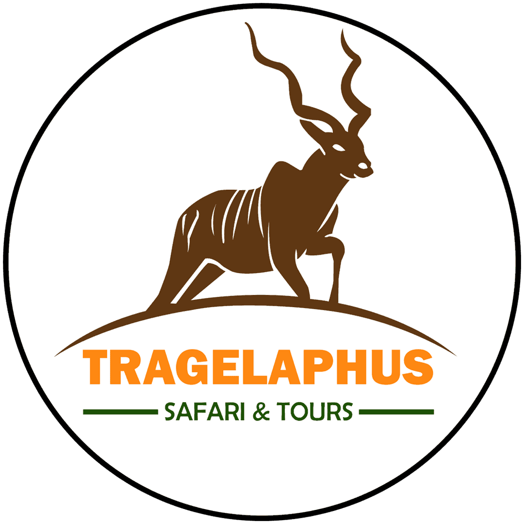 Tragelaphus Safari and Tours