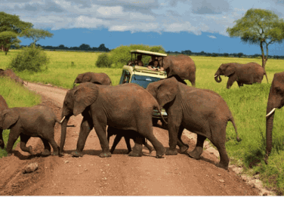 5 Days Best of Tanzania Safari