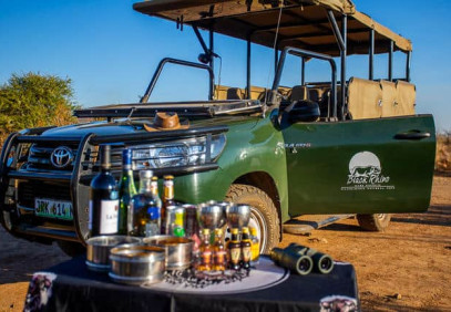 4-Day Budget Safari in Pilanesberg