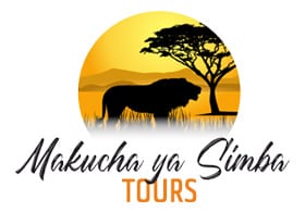 Makucha Ya Simba Tours