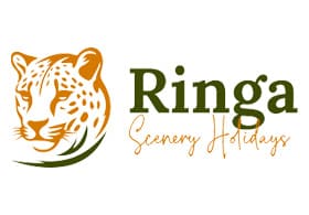 Ringa Scenery Holidays