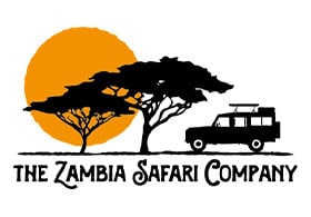 The Zambia Safari Company