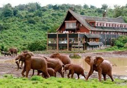 7 Days Samburu, Aberdares, Lake Nakuru & Masai Mara Safari