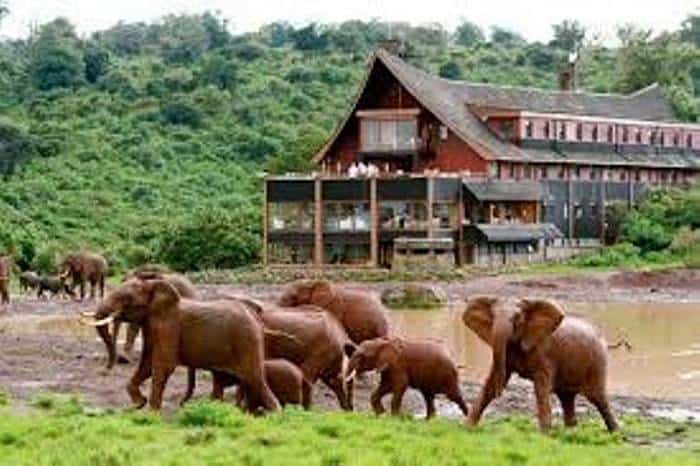 7 Days Samburu, Aberdares, Lake Nakuru & Masai Mara Safari