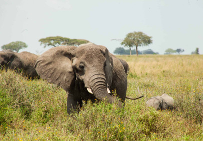 2 Days of Wonders in Northern Tanzania