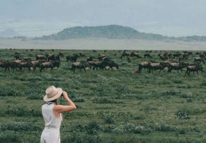 3 Days Classic Serengeti Safari