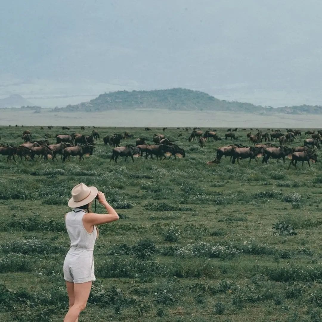 3 Days Classic Serengeti Safari