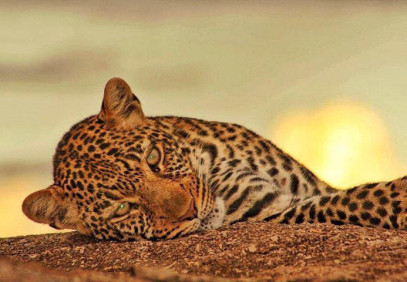 9 Days Best of Northern Circuit Adventures in Tanzania