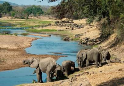 7 Days Private Budget Safari Tanzania Southern Circuit