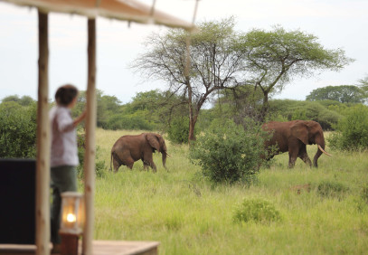 8 Days Serengeti Migration during Calving Season