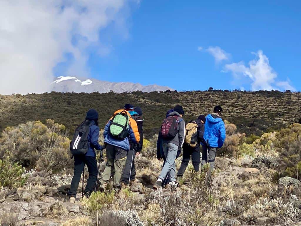 8 Days Mount Kilimanjaro Lemosho Route Trek
