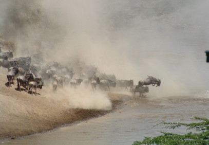 3-Day Mara Private Safari
