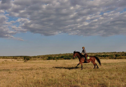 1-Day Horseback Riding Masai Mara