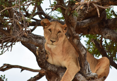 7-Day Off the Beaten Path Safari