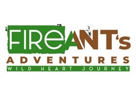 Fire Ants Adventures
