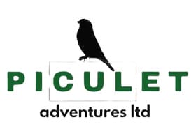 Piculet Adventures