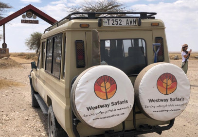 4-Day Luxury Safari Experience
