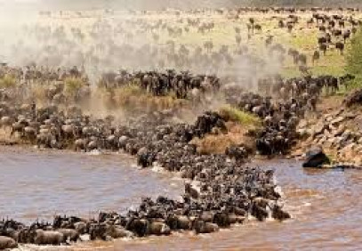 6-Day Northern Tanzania Safari Experience