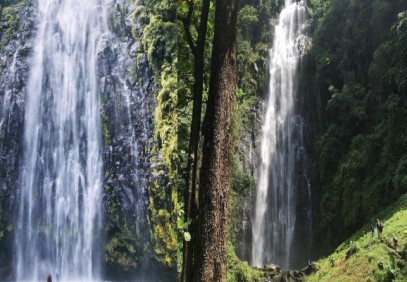 6-Day Tanzania Safari and Activities