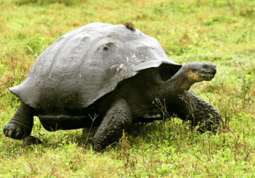 Captura De Pantalla 2024 02 05 165113