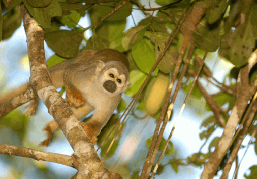 Captura De Pantalla 2024 02 29 130420