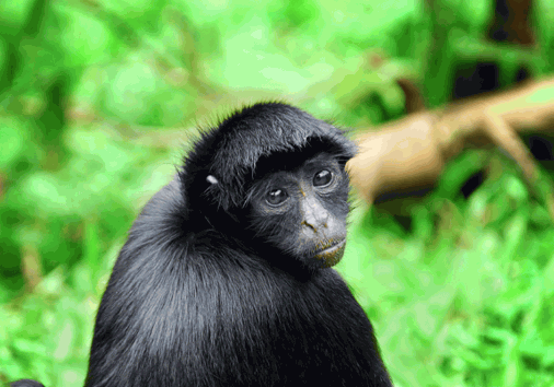 Captura De Pantalla 2024 02 29 130501