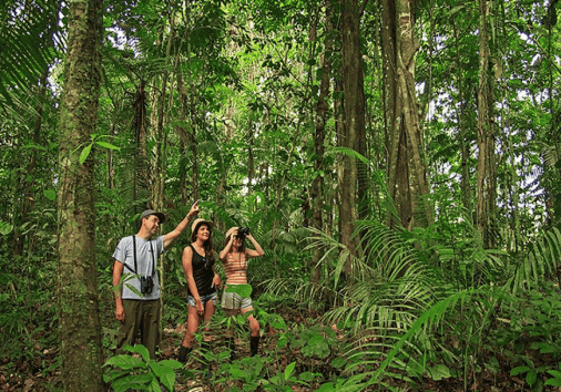 Captura De Pantalla 2024 02 29 130519