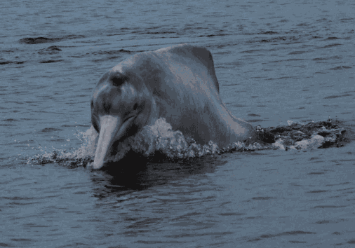 Captura De Pantalla 2024 02 29 130601