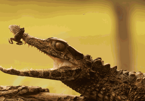 Captura De Pantalla 2024 02 29 130642