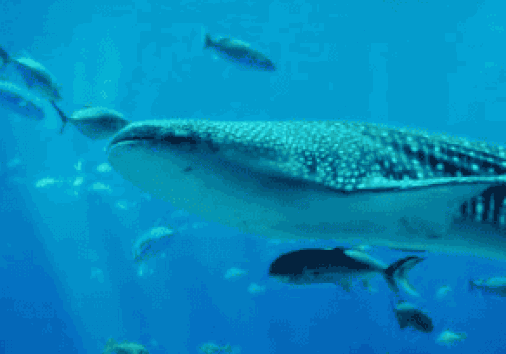 Captura De Pantalla 2024 02 29 153432