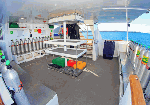 Captura De Pantalla 2024 02 29 154633