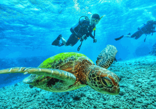 Captura De Pantalla 2024 02 29 154720