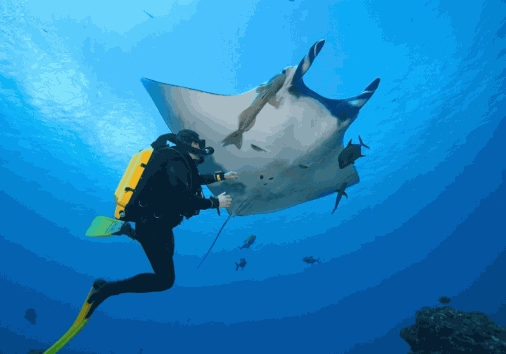 Captura De Pantalla 2024 02 29 154909