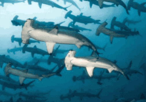 Captura De Pantalla 2024 02 29 160621