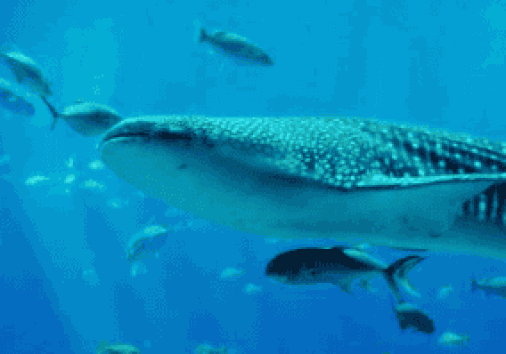 Captura De Pantalla 2024 02 29 161612