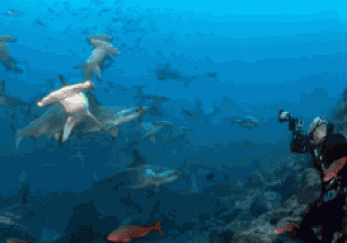 Captura De Pantalla 2024 02 29 161627