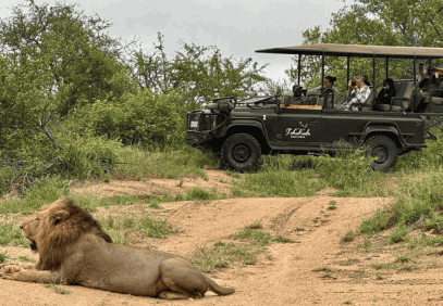 5-Day Kruger National Park Wildlife Experience