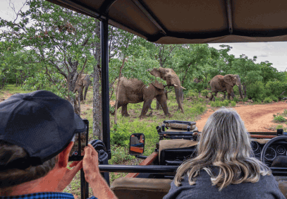 4-Day Kruger Park and Panorama Route Safari