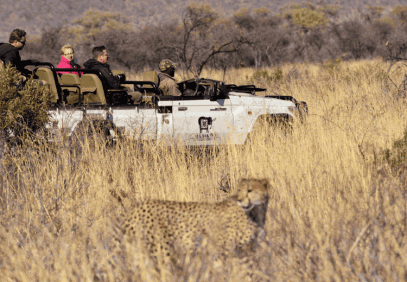 4-Day Big Five & Family Safari in Madikwe Game Reserve