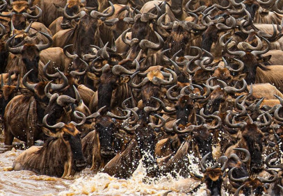 3-Day Best of Tanzania in Mikumi National Park