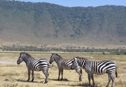 4 Days Tanzania Ultimate Safari