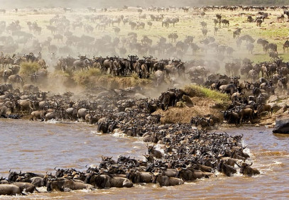 5 Days Nakuru Masai Mara Safari