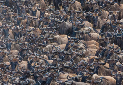 8 Days Lake Nakuru, Masai Mara, Amboseli, Tsavo West Safari