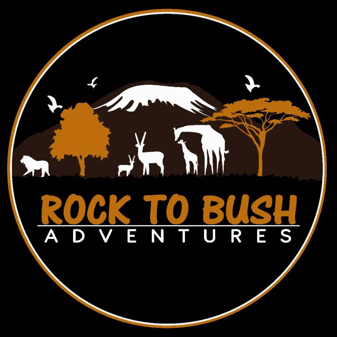 Rock To Bush Adventures