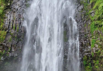 1-Day Materuni Waterfall and Coffee Tour