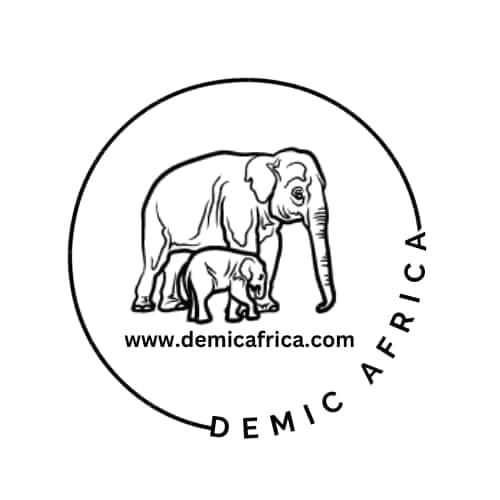 Demic Africa