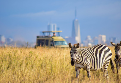1-Day Nairobi National Park & Elephant Orphanage Tour
