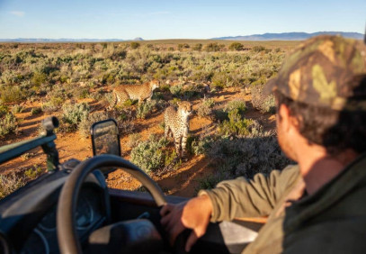 3-Day Big Five Safari Near Cape Town