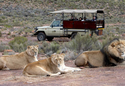 4-Day South Africa Big Five Safari, Spa and Beach