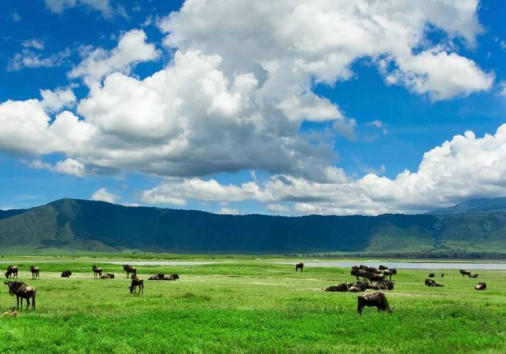 Ngorongoro 2 2 700x450